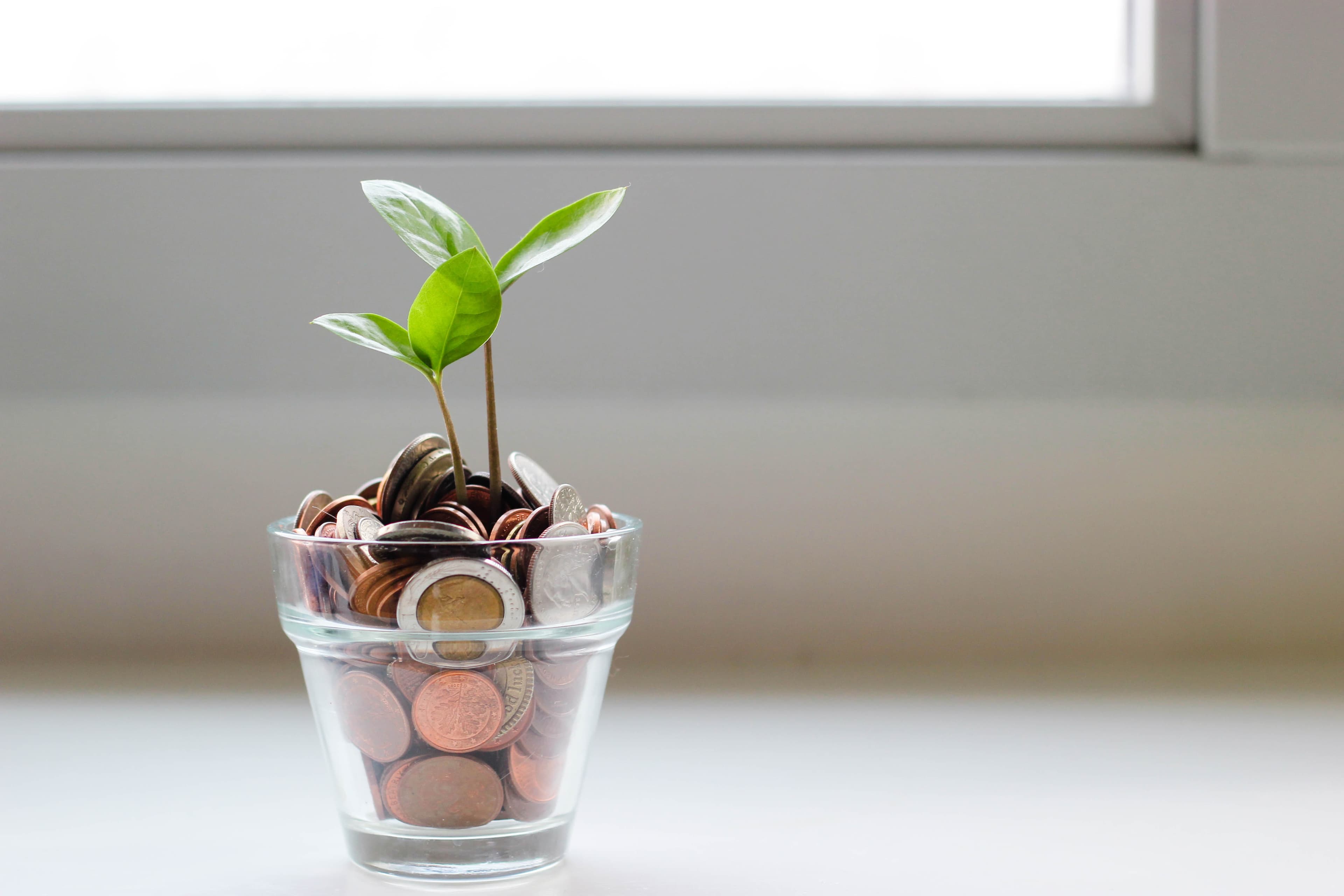 Money Sprout